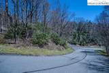 Lot 1 Tanawha Parkway - Photo 9