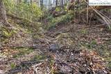 TBD Bear Track Lane - Photo 12