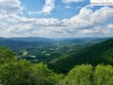 796 Goat Mountain Road - Photo 14