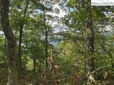 796 Goat Mountain Road - Photo 18