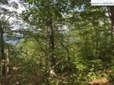 796 Goat Mountain Road - Photo 19
