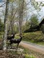 TBD Lot 23 Black Bear Trail - Photo 10