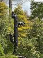 TBD Lot 23 Black Bear Trail - Photo 12