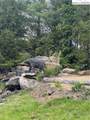 TBD Lot 23 Black Bear Trail - Photo 13