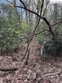 TBD Lot 23 Black Bear Trail - Photo 4