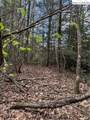TBD Lot 23 Black Bear Trail - Photo 5