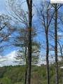 TBD Lot 23 Black Bear Trail - Photo 6
