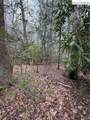 TBD Lot 23 Black Bear Trail - Photo 7