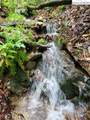 TBD Rocky Top Road - Photo 4