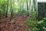 TBD Rocky Top Road - Photo 6