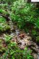 TBD Rocky Top Road - Photo 7