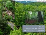 TBD Rocky Top Road - Photo 9