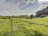1212 Dry Hill Road - Photo 43