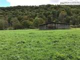 TBD Big Laurel Road - Photo 10