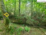 5023 Elk Park Highway - Photo 38