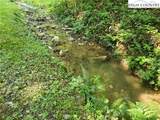 5023 Elk Park Highway - Photo 44