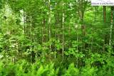 TBD Elk Knob Road - Photo 2