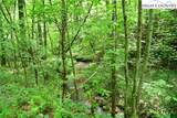 TBD Elk Knob Road - Photo 4
