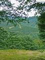 TBD Elk Knob Road - Photo 5