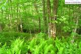 TBD Elk Knob Road - Photo 6