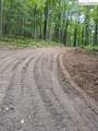 TBD Elk Knob Road - Photo 7