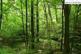 TBD Elk Knob Road - Photo 8