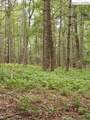 TBD Elk Knob Road - Photo 9