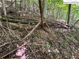 TBD Dark Ridge Road - Photo 11