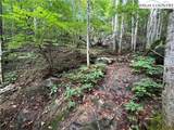 TBD Dark Ridge Road - Photo 19
