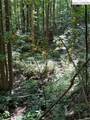 TBD Dark Ridge Road - Photo 20