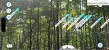 TBD Dark Ridge Road - Photo 6