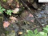 TBD Dark Ridge Road - Photo 8