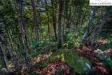 Lots 8 & 9 Rocky Top Trail - Photo 28