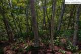 Lots 8 & 9 Rocky Top Trail - Photo 29