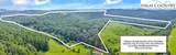 TBD Murphy Bend Road - Photo 49