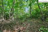 Lot 63 Galax Circle Ext. - Photo 12