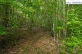 TBD Beaver Damn Road - Photo 12