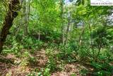 Lot 15 Boone Ridge Lane - Photo 10