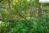 Lot 15 Boone Ridge Lane - Photo 12