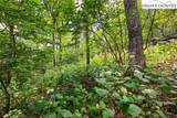 Lot 15 Boone Ridge Lane - Photo 8