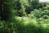 Lot 9 Clearview Ridge Road - Photo 18