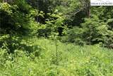 Lot 9 Clearview Ridge Road - Photo 19