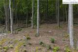 Lot 46 Wildcat Wilderness Parkway - Photo 11