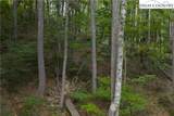 Lot 46 Wildcat Wilderness Parkway - Photo 17