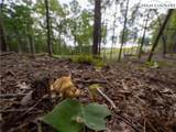 Lot 46 Wildcat Wilderness Parkway - Photo 19