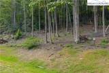 Lot 46 Wildcat Wilderness Parkway - Photo 3