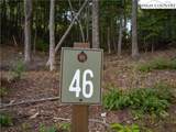 Lot 46 Wildcat Wilderness Parkway - Photo 4