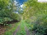 TBD Old Anderson Quarry Road - Photo 21