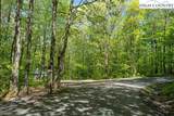 Lot 5 Wolfsbane Trail - Photo 10