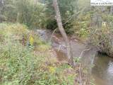 TBD Big Peak Creek Road - Photo 17